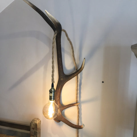 Antler wall light with Edison bulb